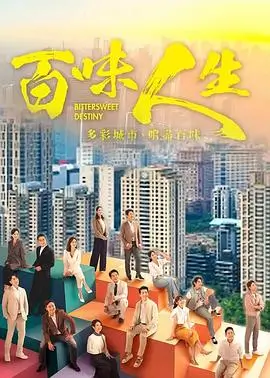 雾港夜航 悬疑剧在线观看
