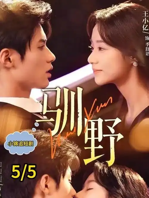 双面律师 律政剧在线观看